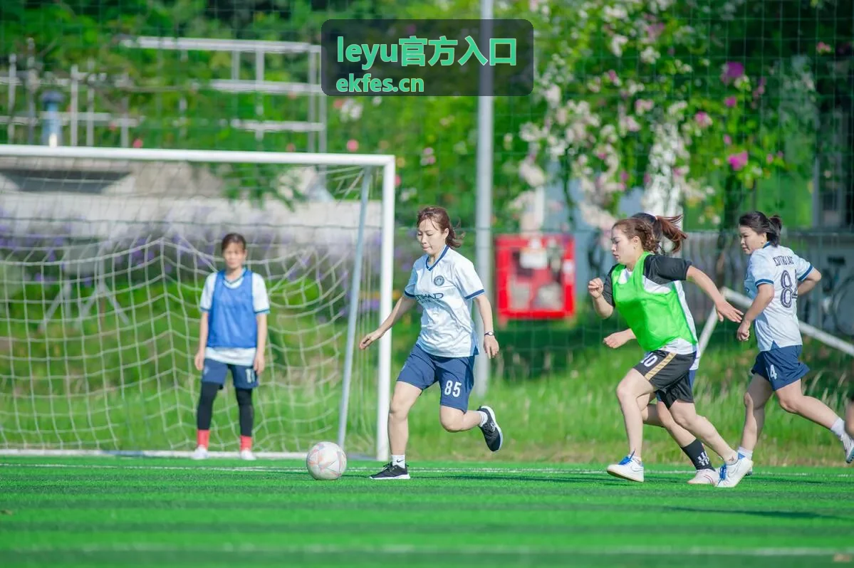 leyu官方入口后续服务升级与支持